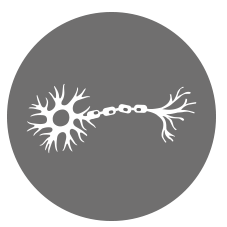 nervenzelle Osteopathie Praxis Benkmann