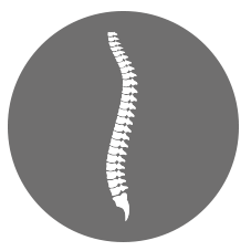 wirbelsaeule Osteopathie Praxis Benkmann